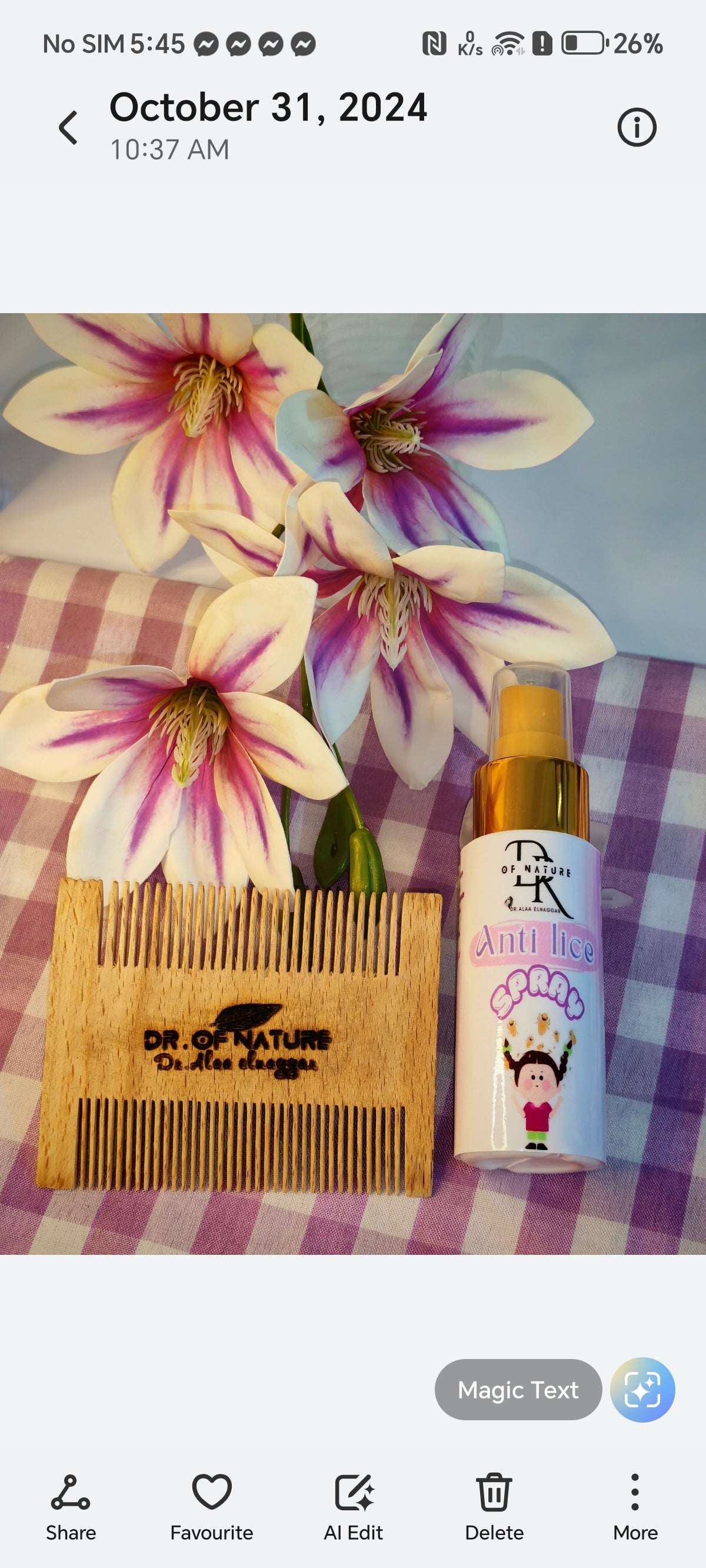 Anti lice spray